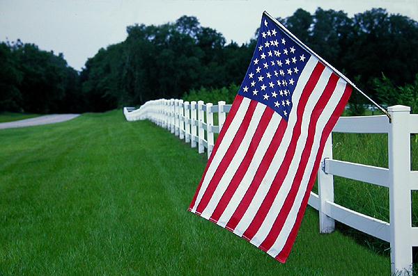  Flag On Fence 