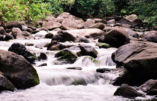  Iao Stream 
