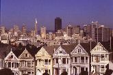  Painted Ladies 