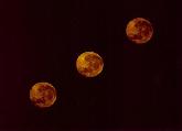  Triple Moon 